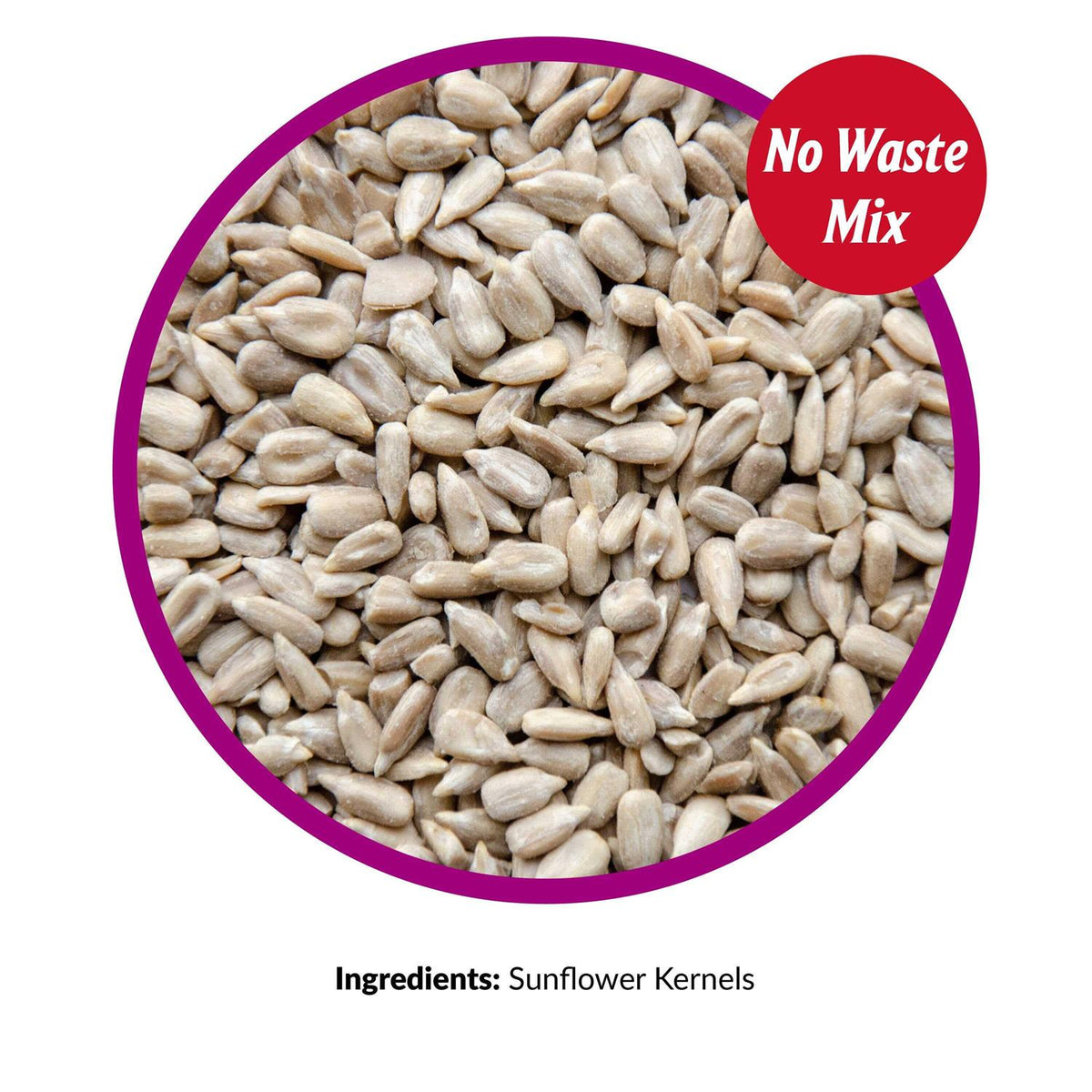 Sunflower Kernels Pet Supplies K3929