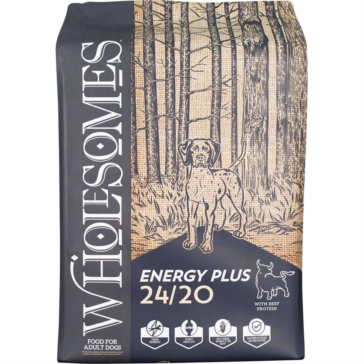 Dry Dog Food Z577878