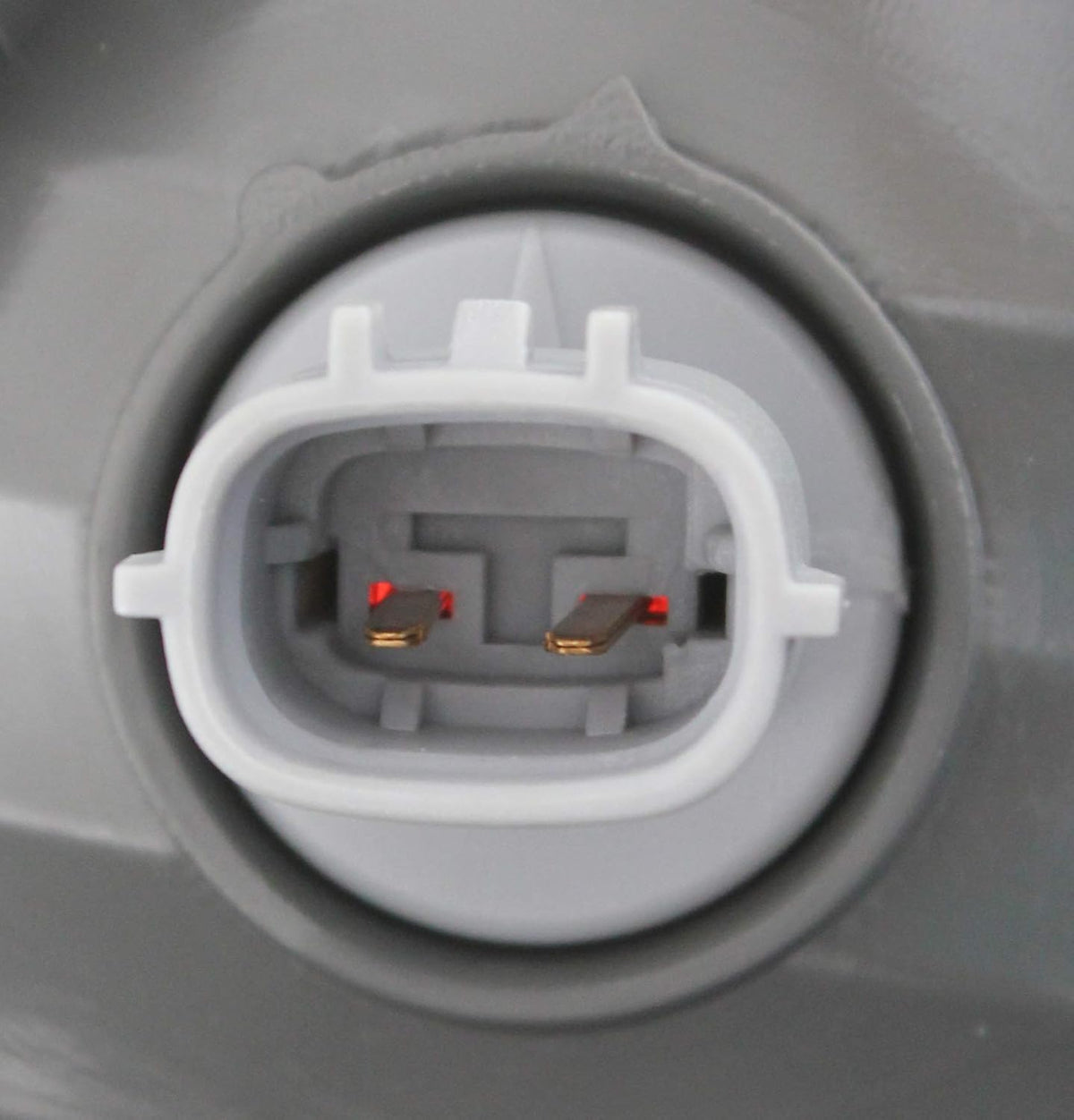 Tail Light Assembly Pack of 2 E6787