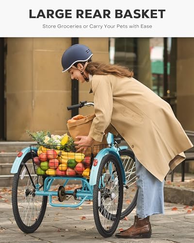 24 inch 250W Electric Tricycle with 468Wh Removable Battery D151452