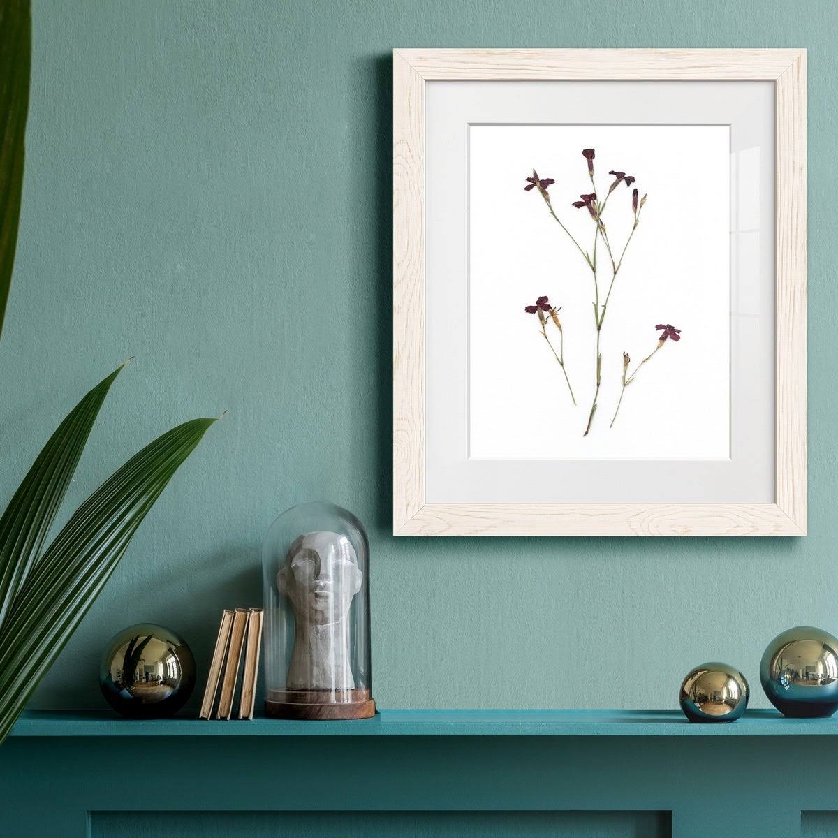 Walnut Framed Print Z683788