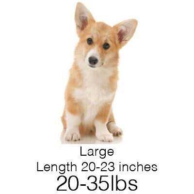 Pet Supplies A338675