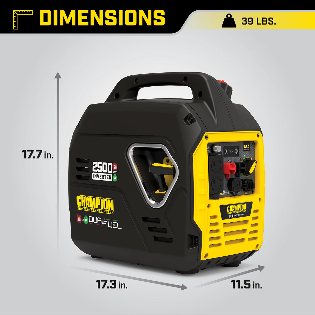 2500-Watt Dual Fuel Inverter Generator P276