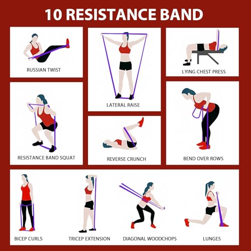 Resistance Bands Set with Handles and Door Anchor F327341