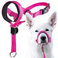 Dog Head Halter with Safety Strap B326