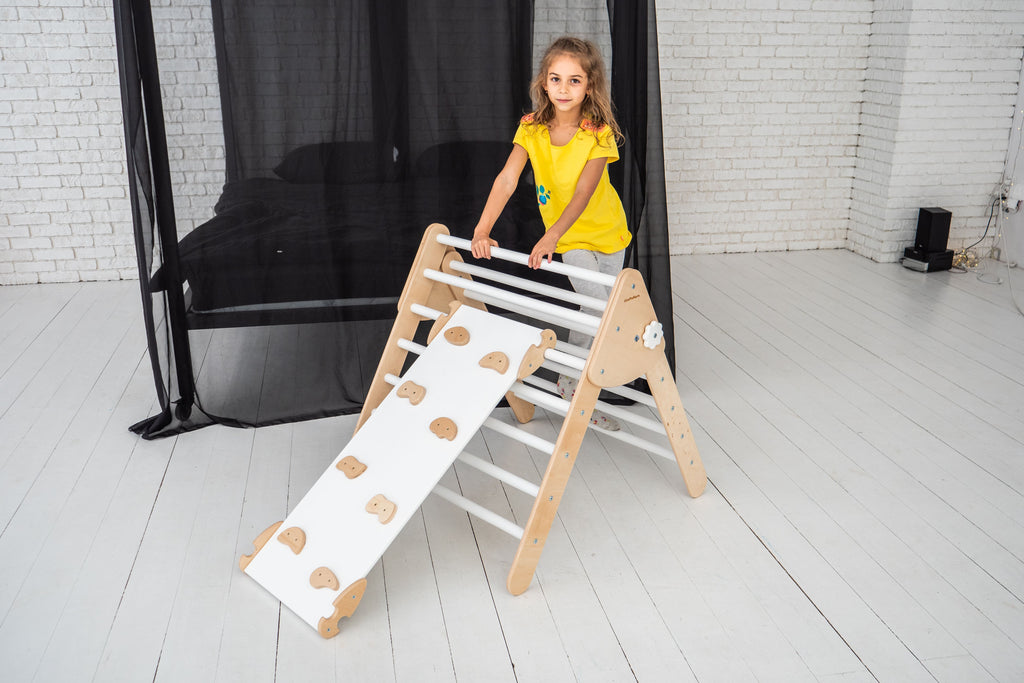 Indoor Playground Climbing Set X433