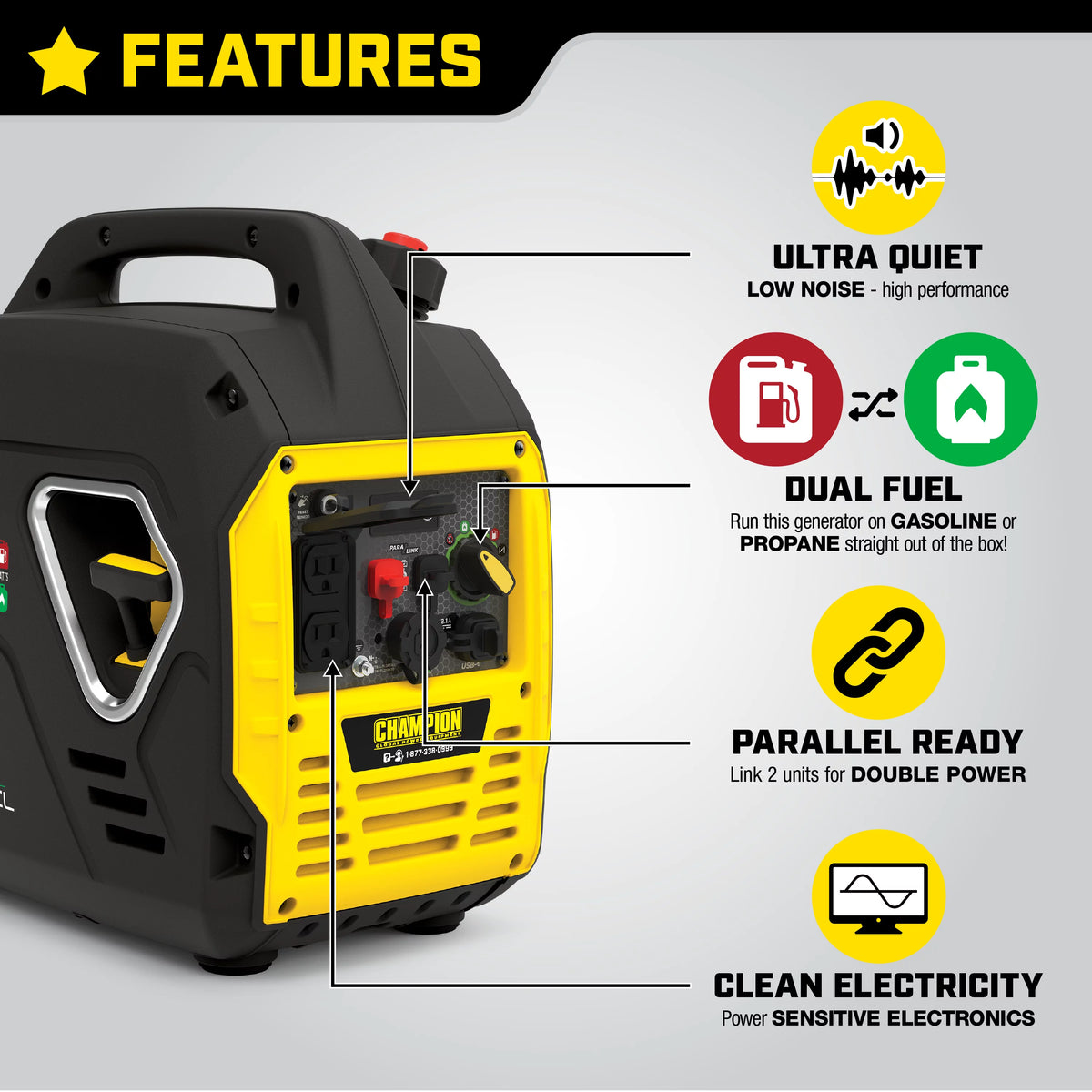 2500-Watt Dual Fuel Inverter Generator P276