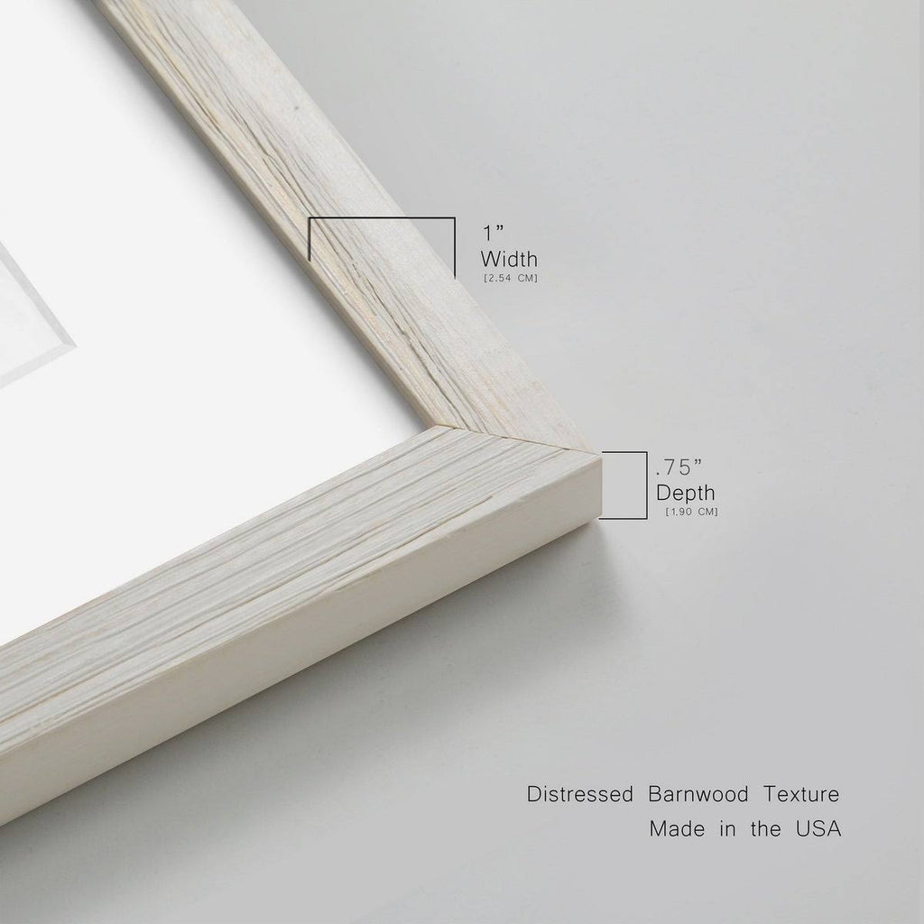 Walnut Framed Print Z683788