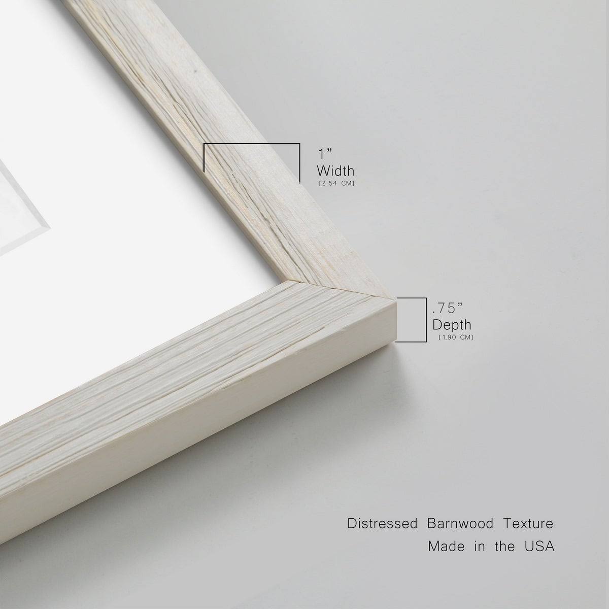 Walnut Framed Print Z683788