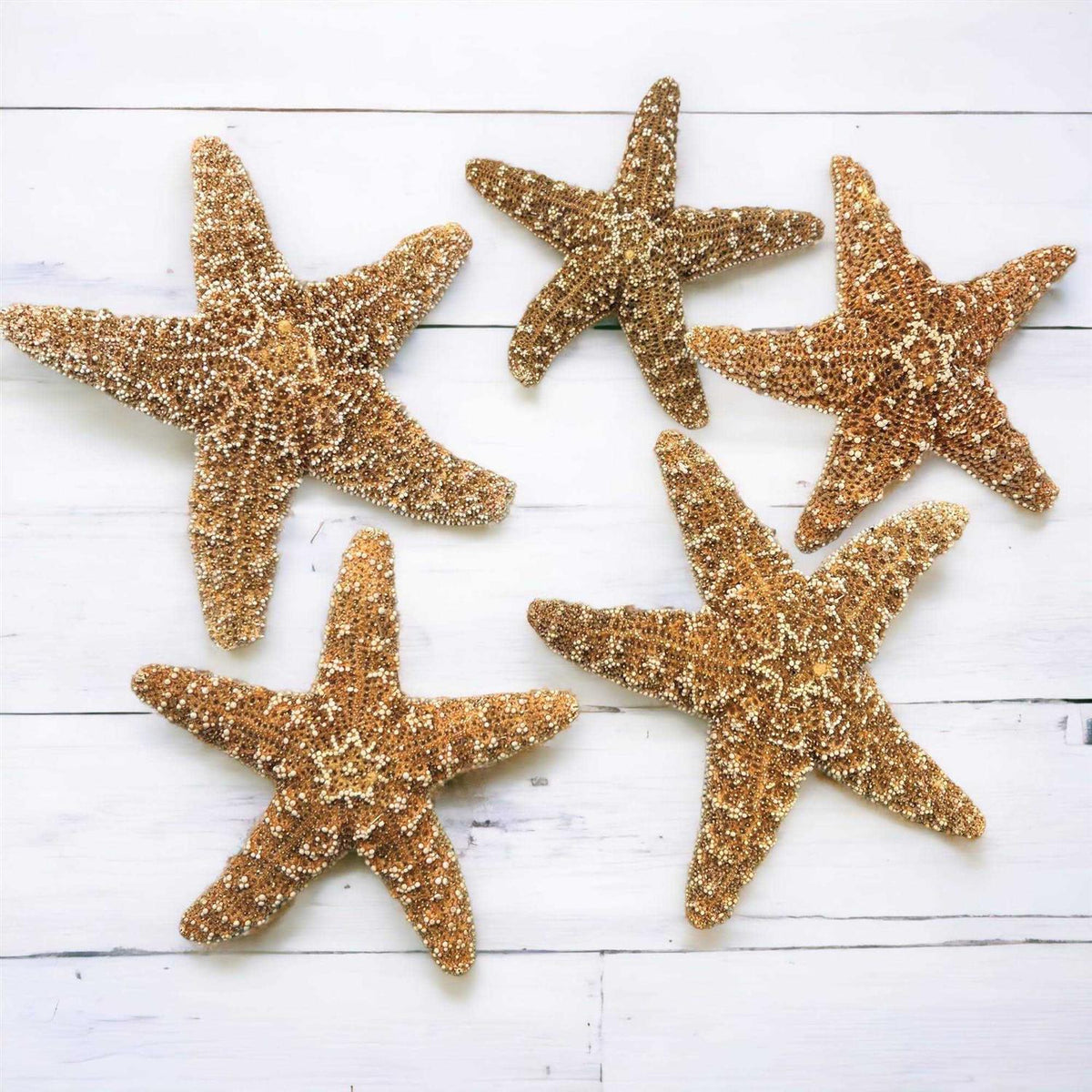 Starfish Decor R7172
