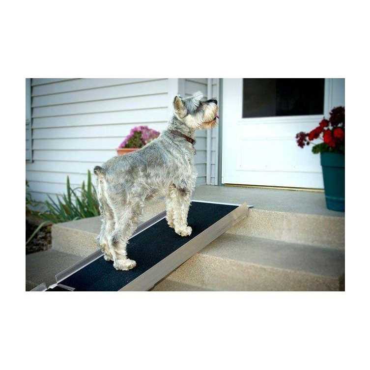 Telescoping Ramp E418923
