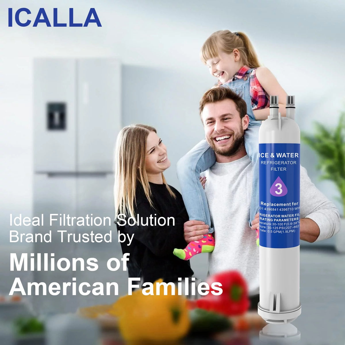 Water Filter 2-Pack M9818