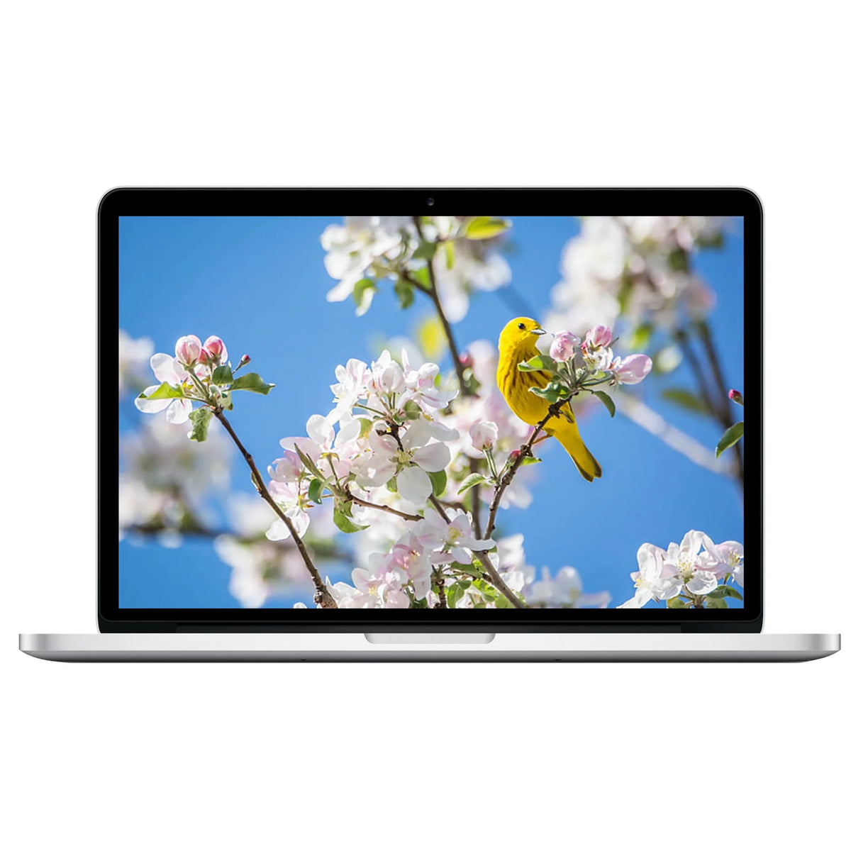 13.3-inch Intel Core i5 8GB RAM 256GB MacBook Pro (Refurbished) Y80211