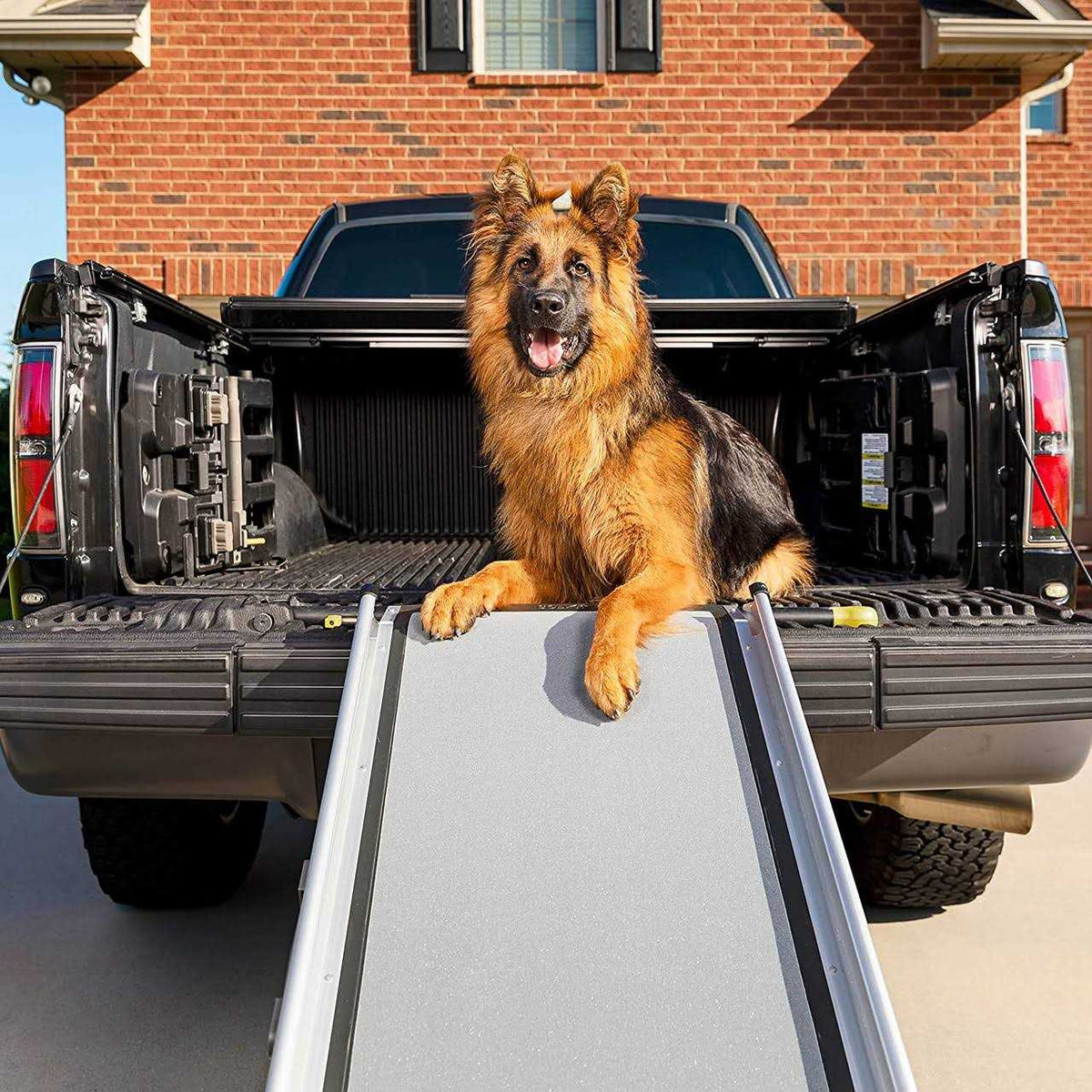 Telescoping Ramp E418923