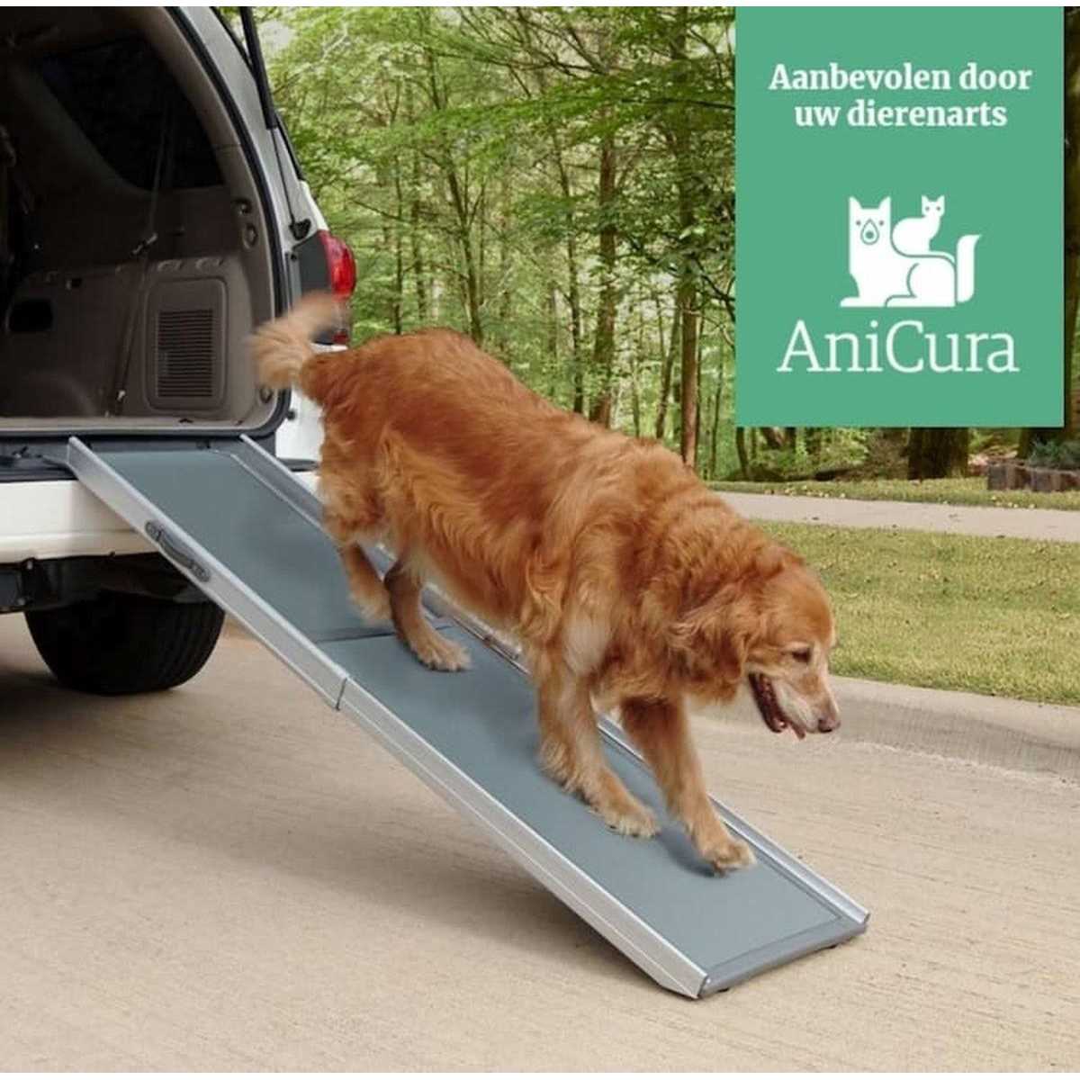 Telescoping Ramp E418923
