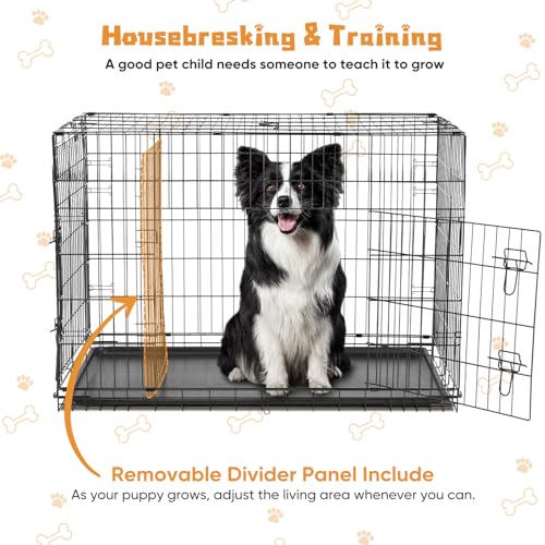 36 Inch Double Door Metal Dog Crate with Divider Panel and Plastic Leak-Proof Pan Tray R562214