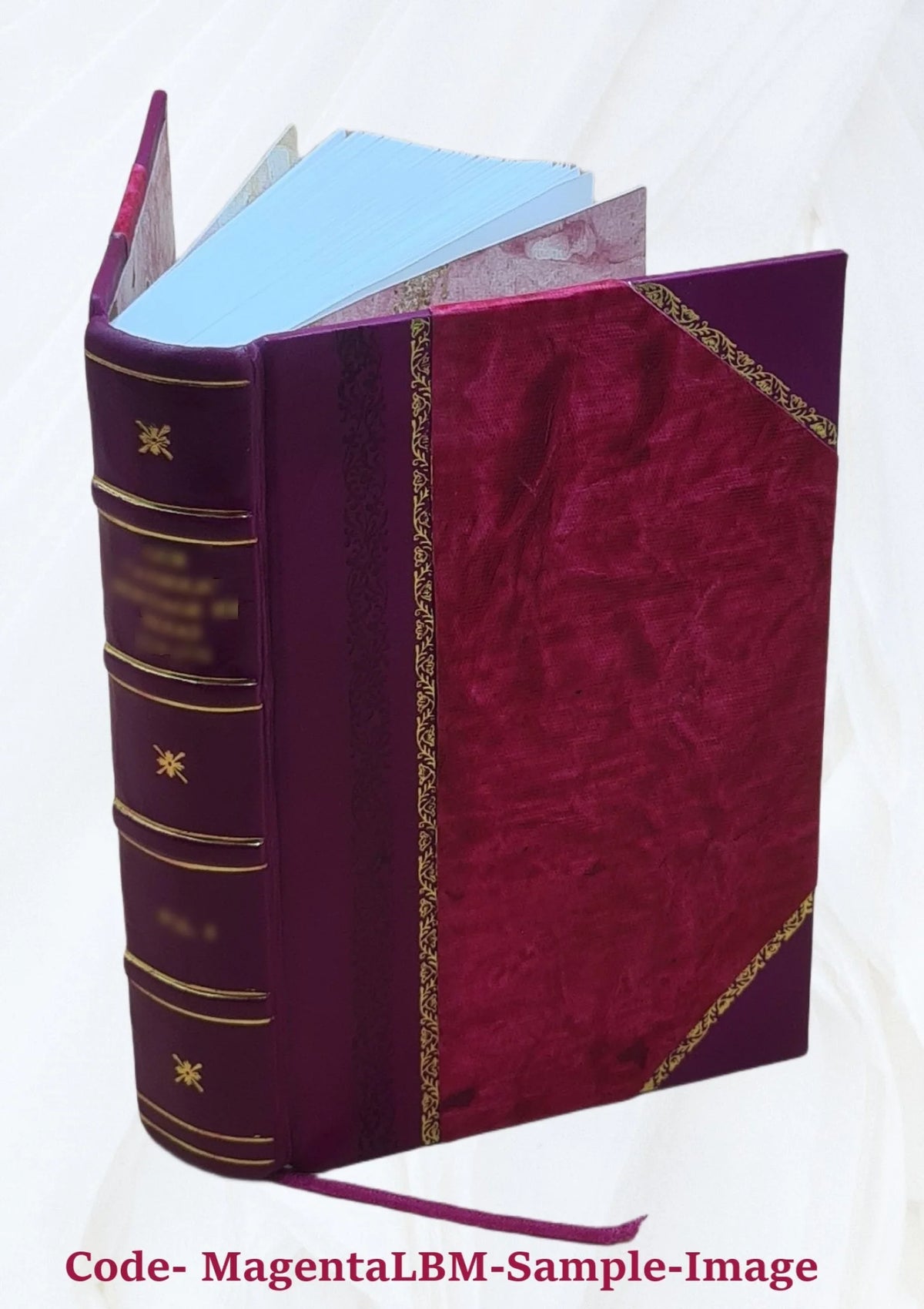 Leather Bound Book E686127