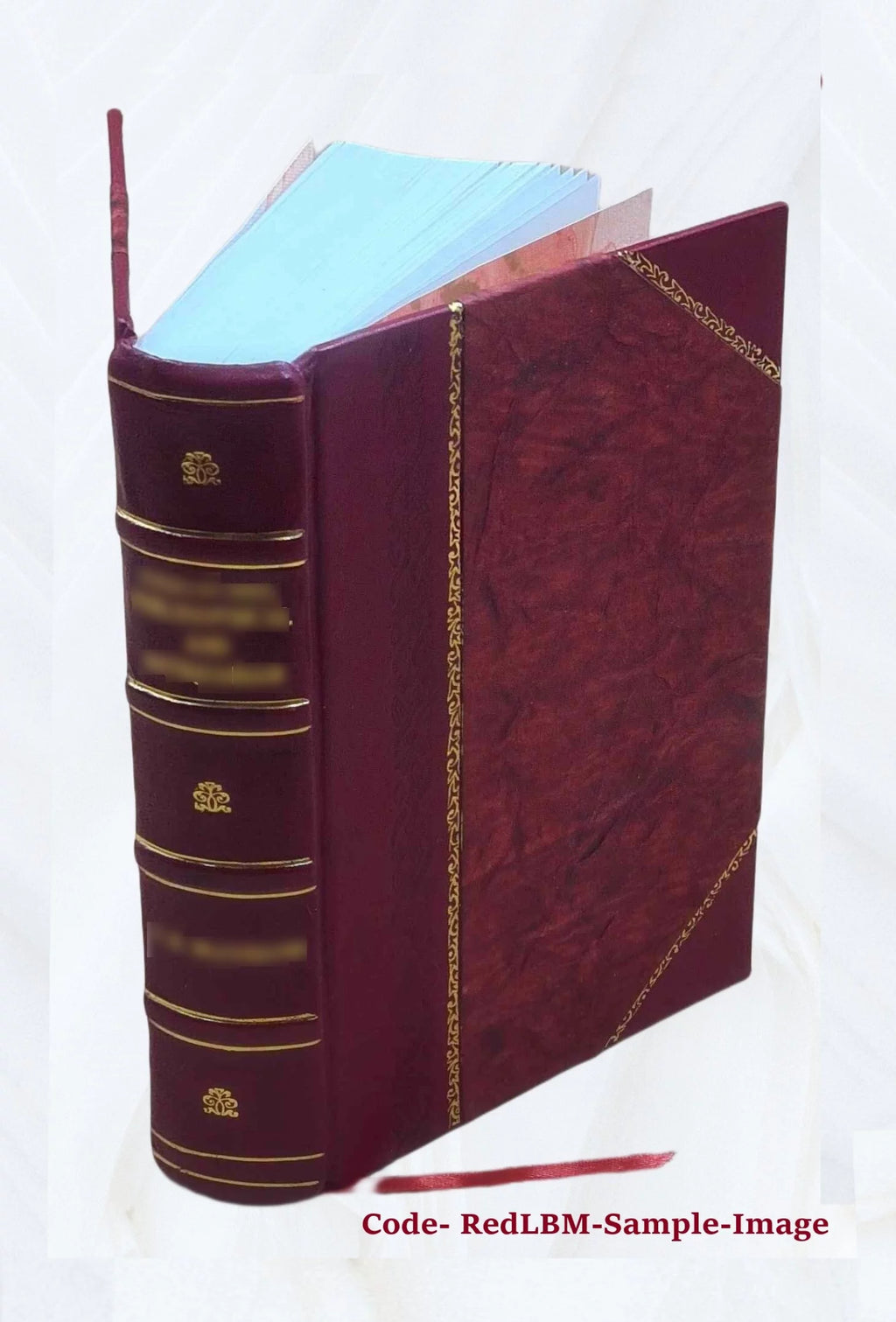 Leather Bound Book E686127