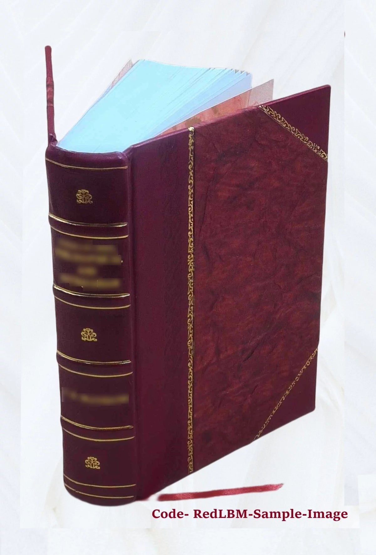 Leather Bound Book E686127