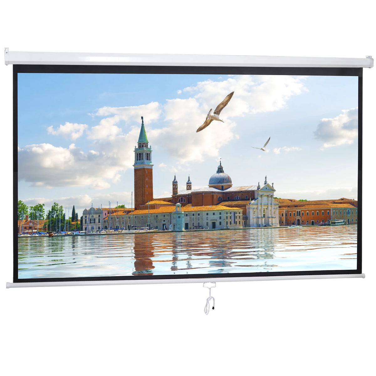 100 Diagonal 16:9 Projector Screen D185