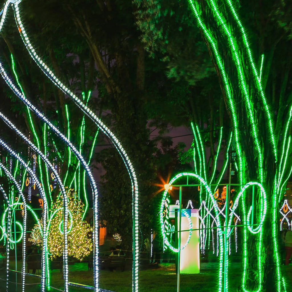 LED Green Rope Light Kit, 216 Lights, Connectable, Mounting Clips Included E770080