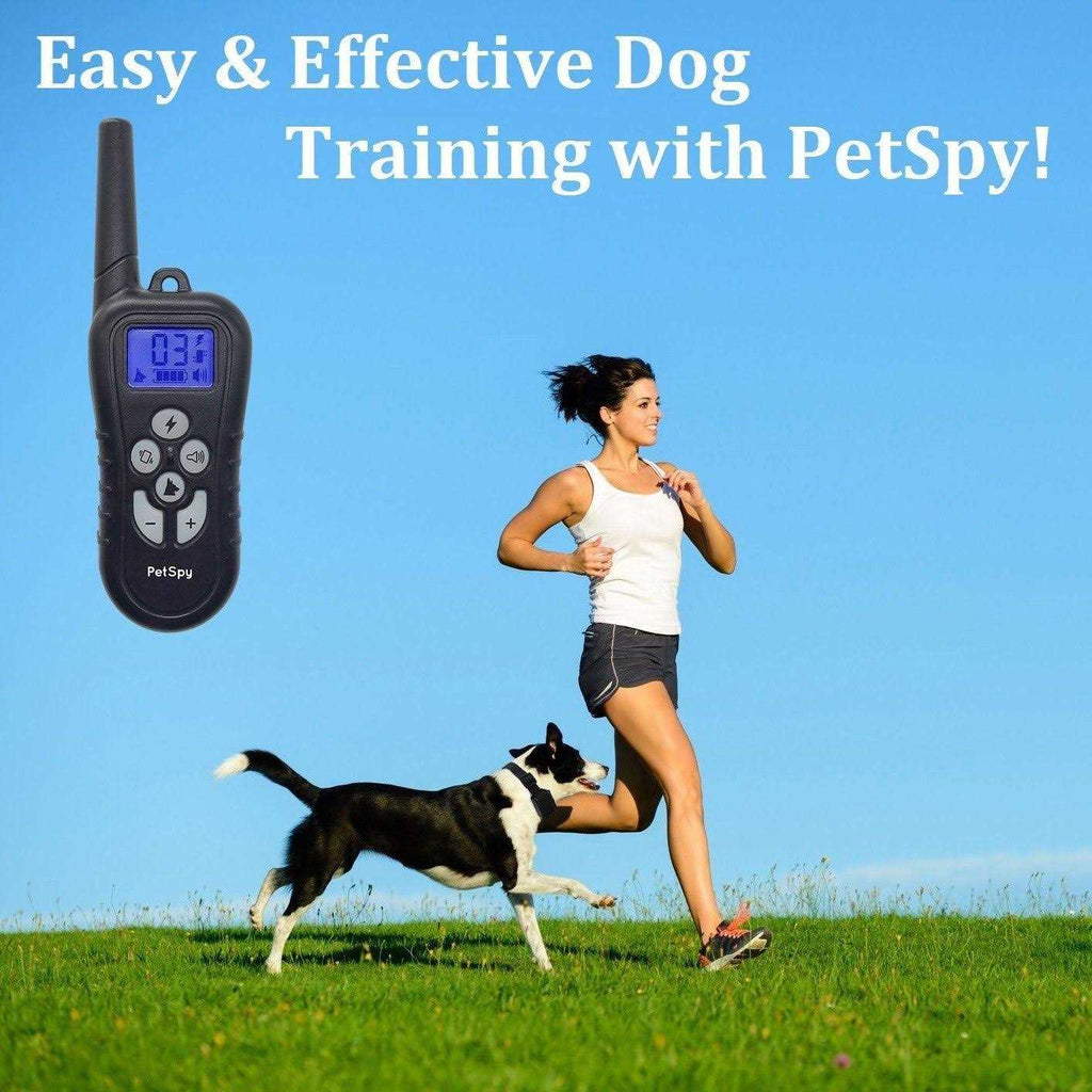 Remote Dog Training Collar R240871