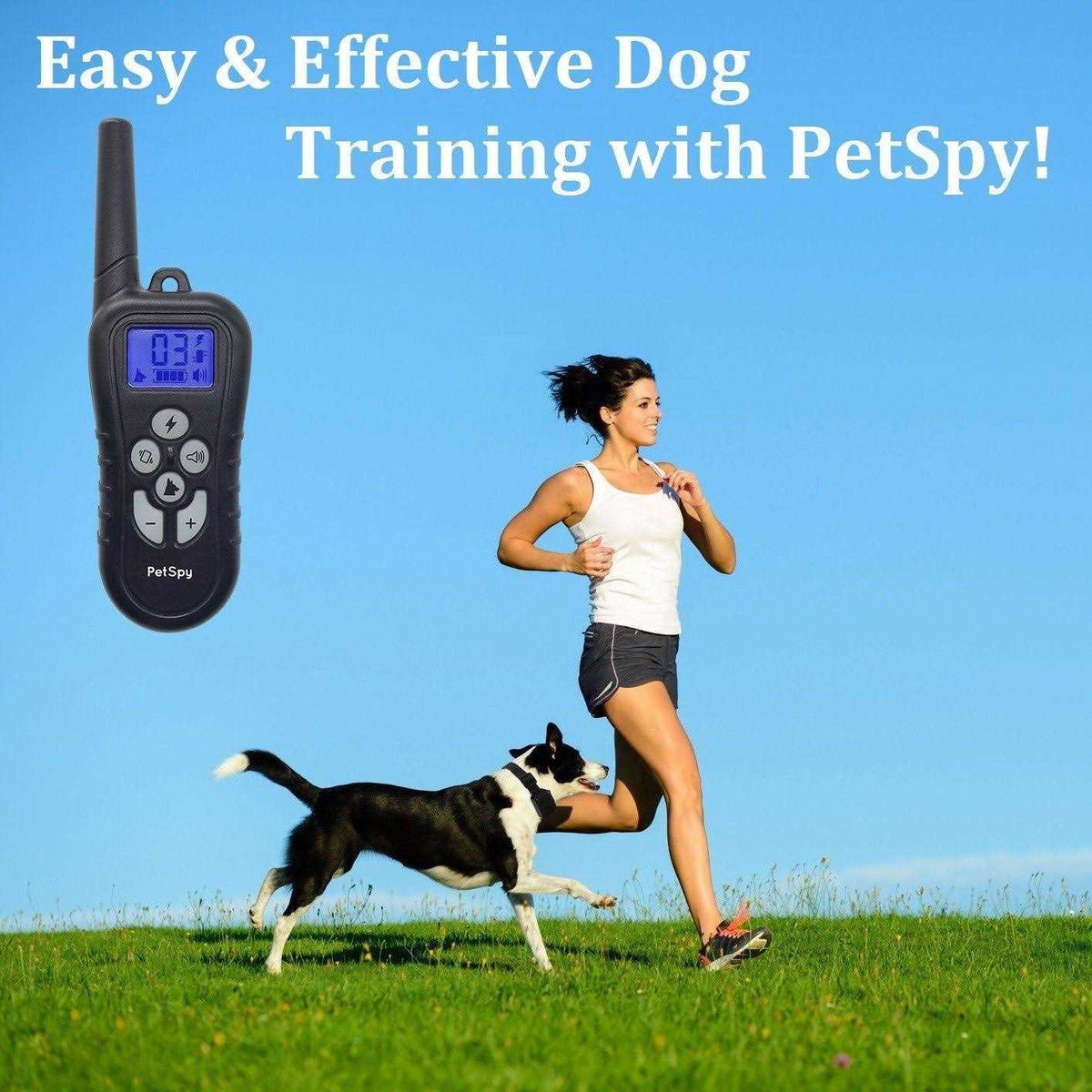 Remote Dog Training Collar R240871