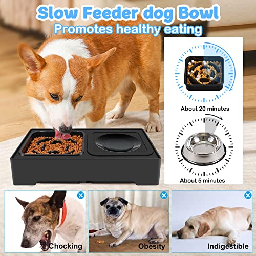 2-in-1 Elevated Slow Feeder Dog Bowls with Non-Skid Silicone Mat E3386