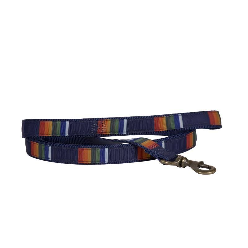 Yellowstone Hiker Dog Leash C2090