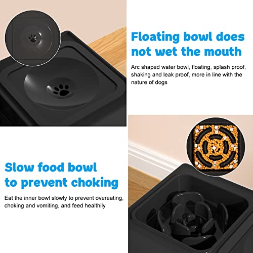 2-in-1 Elevated Slow Feeder Dog Bowls with Non-Skid Silicone Mat E3386