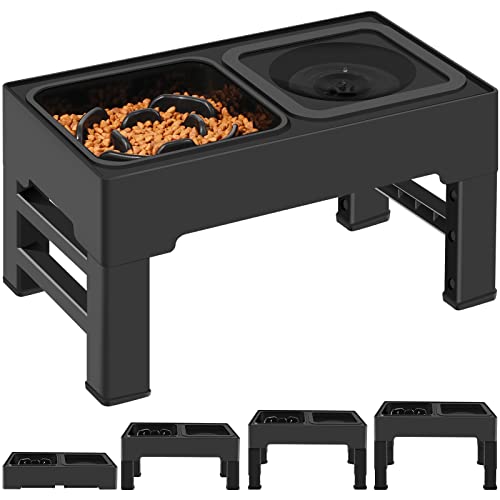 2-in-1 Elevated Slow Feeder Dog Bowls with Non-Skid Silicone Mat E3386