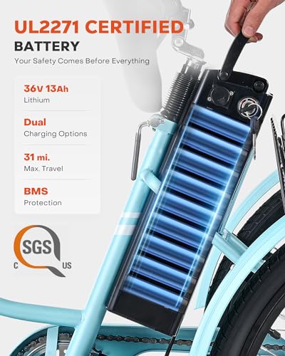 24 inch 250W Electric Tricycle with 468Wh Removable Battery D151452