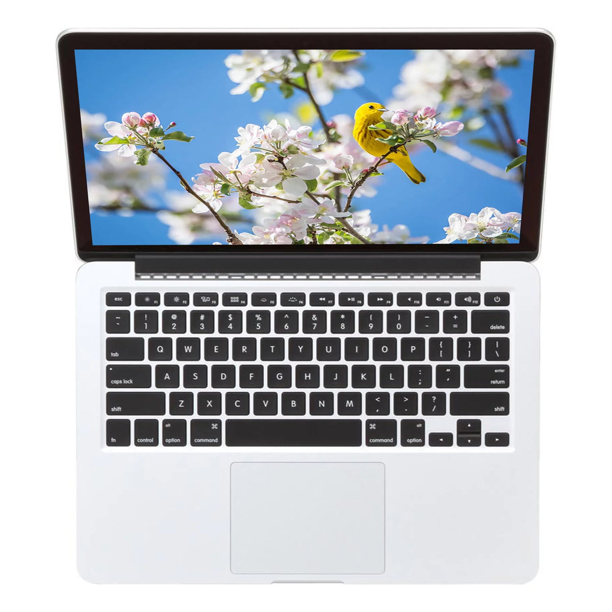 13.3-inch Intel Core i5 8GB RAM 256GB MacBook Pro (Refurbished) Y80211