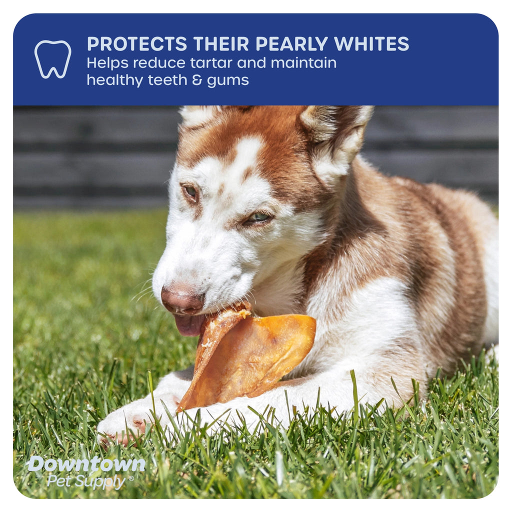 35 Pack Pig Ears Dog Chews Q77741