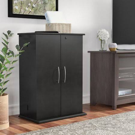 2 Door Storage Cabinet Black Y9999