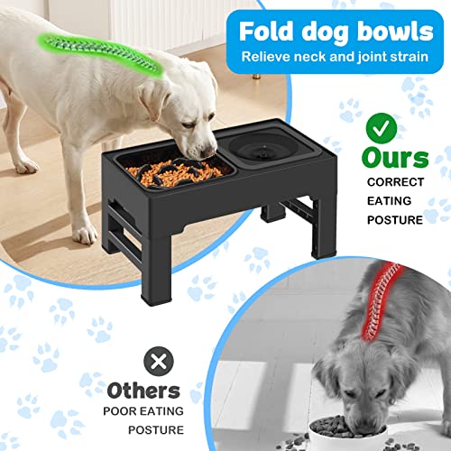 2-in-1 Elevated Slow Feeder Dog Bowls with Non-Skid Silicone Mat E3386