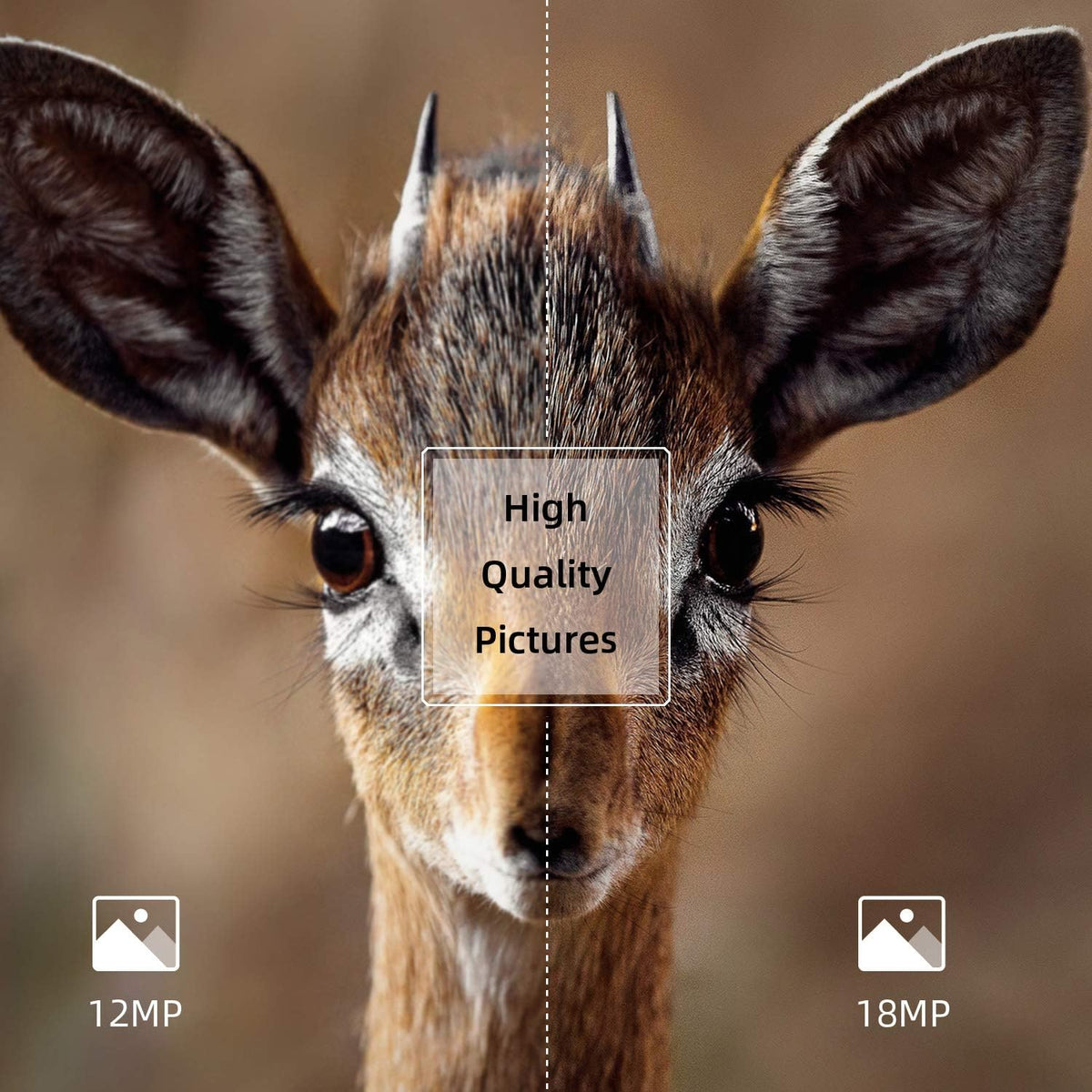 2 Pack 18MP 1080P Trail Game Camera with Night Vision M2946