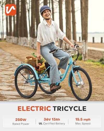 24 inch 250W Electric Tricycle with 468Wh Removable Battery D151452