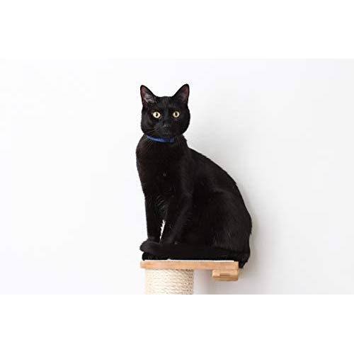 Cat Mod Climbing Vertical Sisal Pole Wall, Unfinished X518516