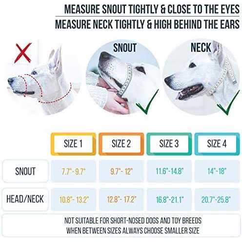 Dog Head Halter with Safety Strap B326