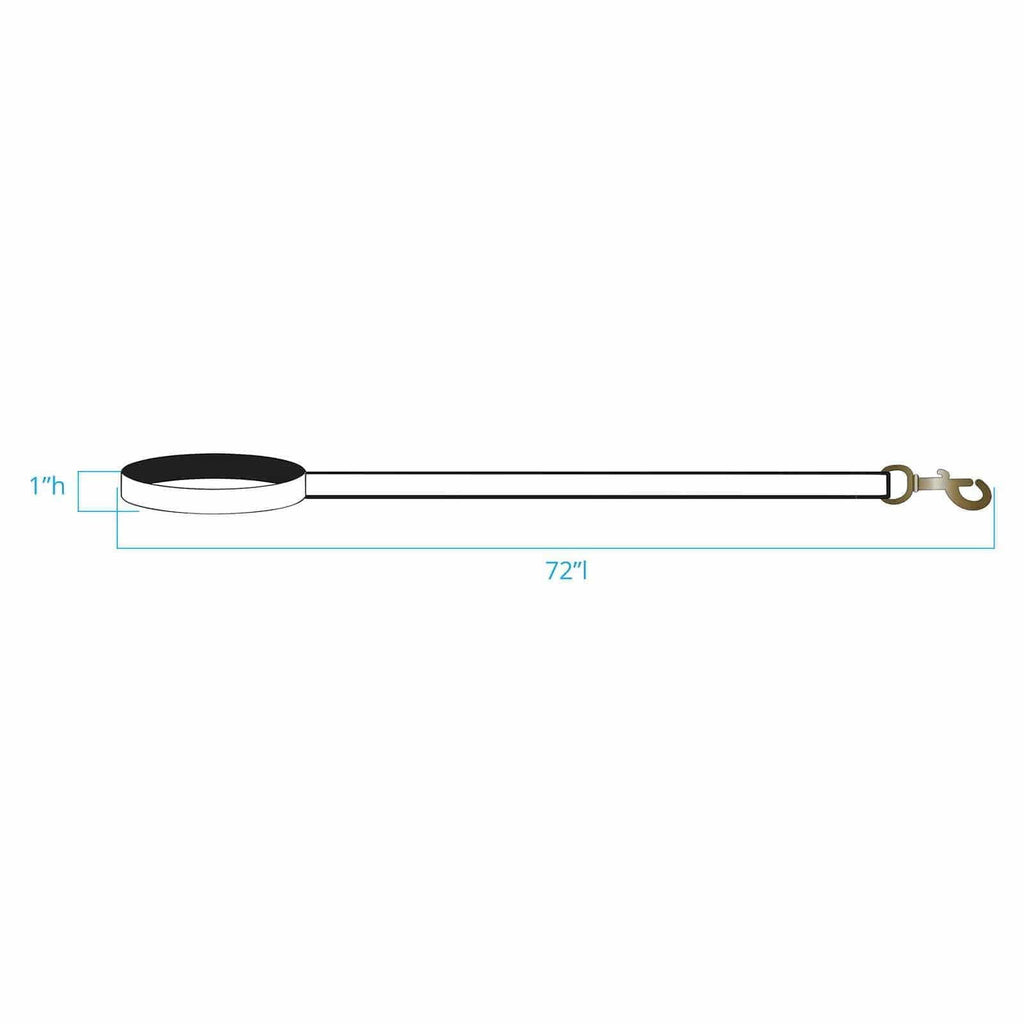 Yellowstone Hiker Dog Leash C2090