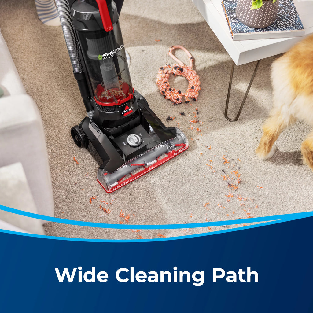 Upright Vacuum V172655