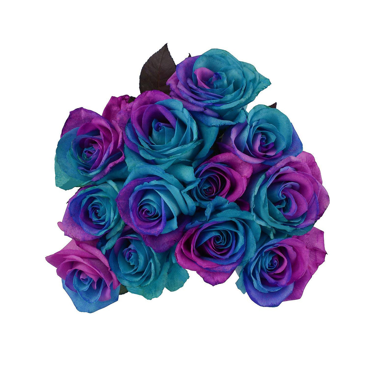 Roses, Tinted Pink and Blue (50 Stems) U742