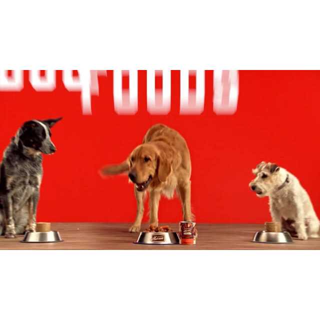 Grain Free Real Beef Canned Dog Food X992
