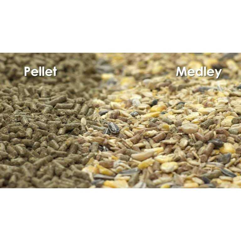 Hamster Gerbil Food A367