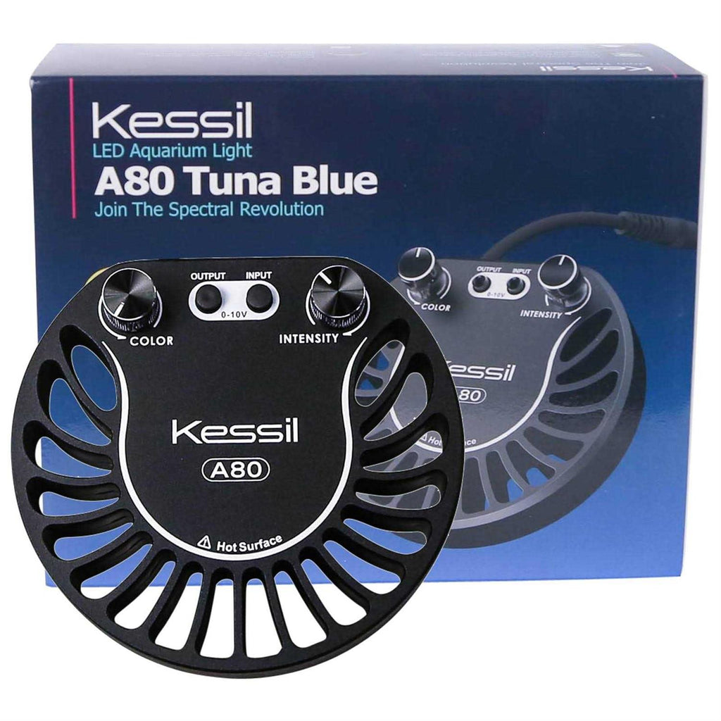 LED Light S3073