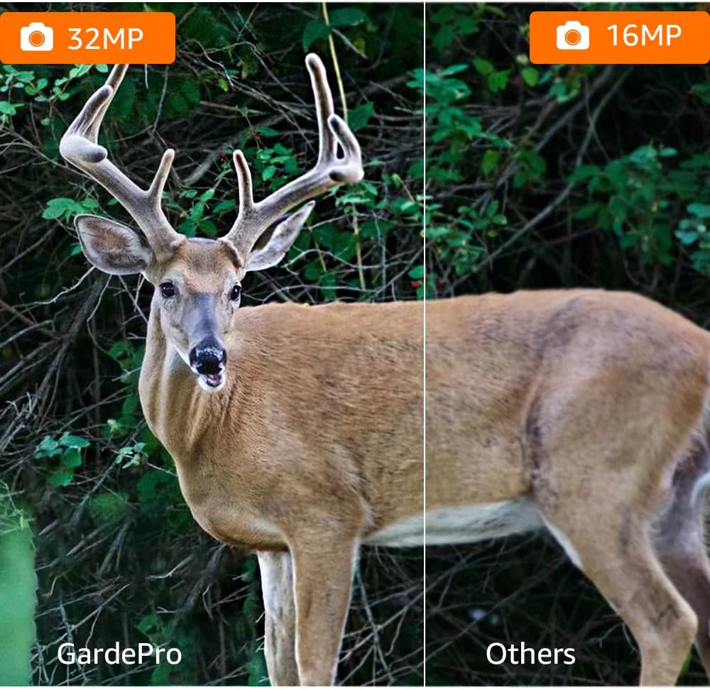 32MP 1080P No Glow Night Vision IP66 Waterproof Trail Game Camera Pack of 2 W727