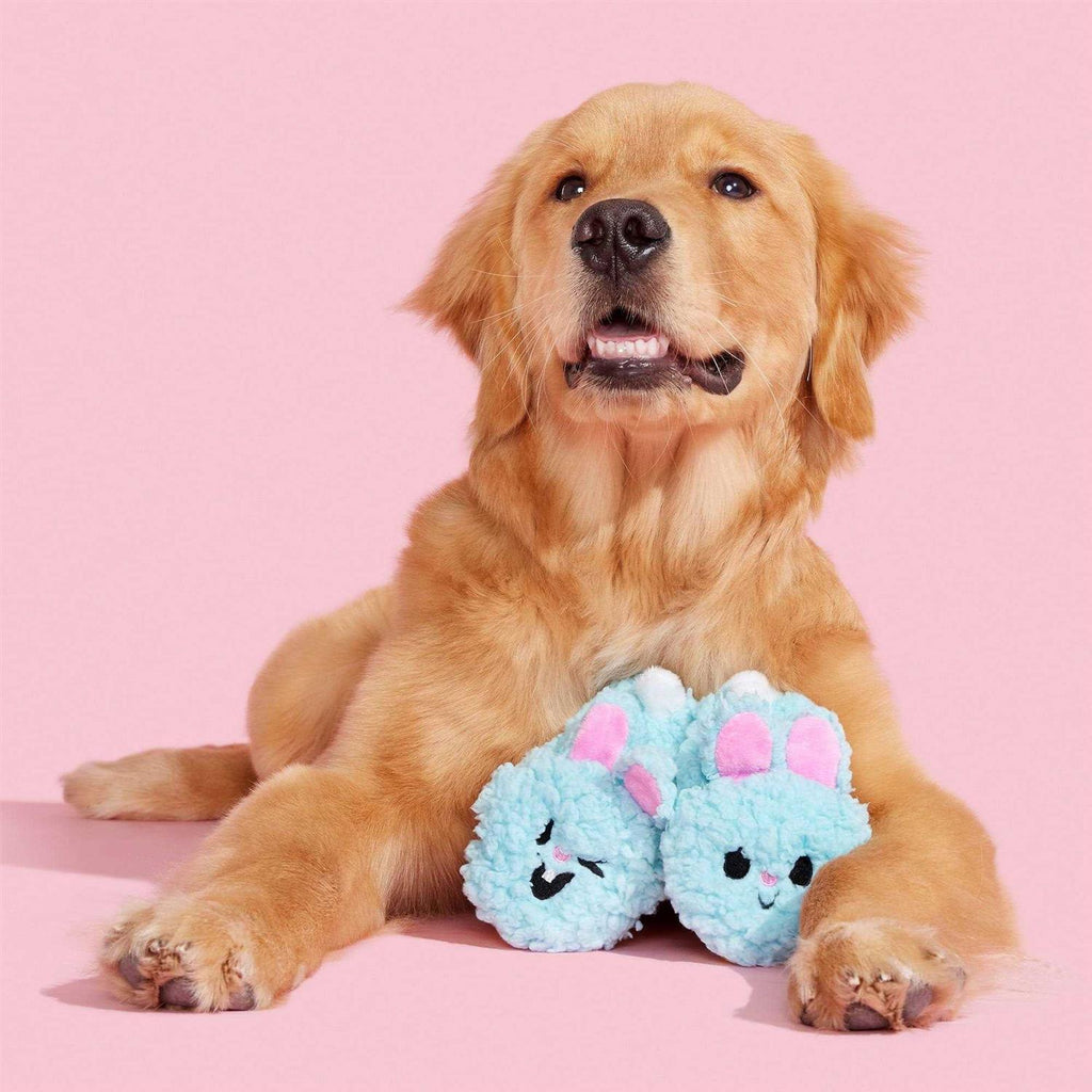 Plush Dog Toys with Squeakers and Crinkle V819