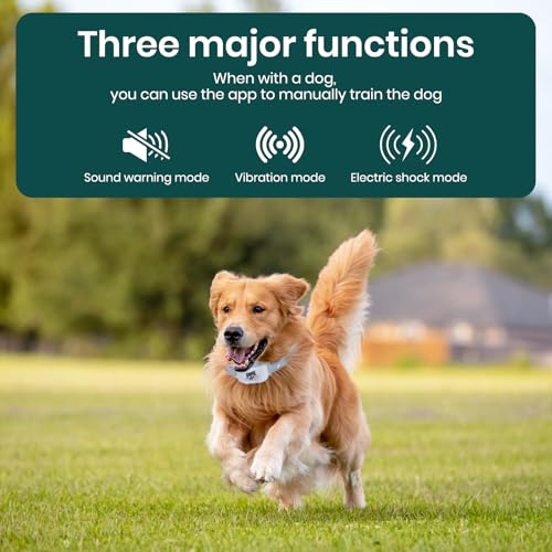 GPS Dog Fence & Tracking Collar System N147360