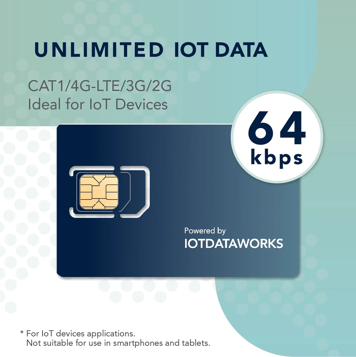 Unlimited IoT SIM Card with 12-Month Service S245174